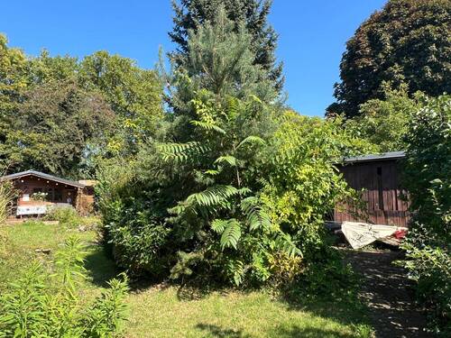 Garten - 