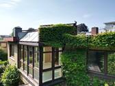 Wintergarten - 