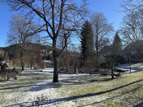 Eisweiher - 