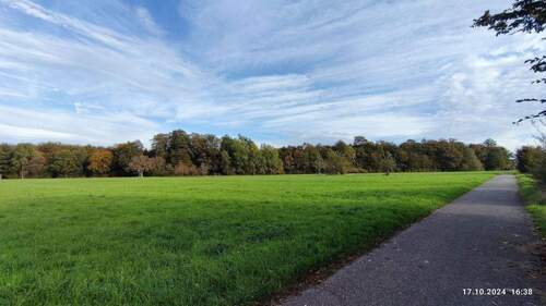 herrlicher Waldrand - Spitzen-Bauplatz für freistehendes EFH - in direkter Feldrandlage