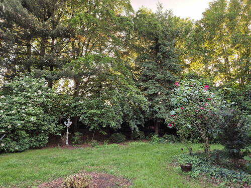 Garten - 