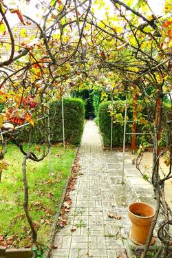Gartenweg - 