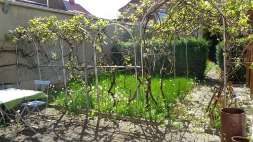 Garten.JPG - 4 Zimmer Doppelhaushälfte in Naumburg (Saale)
