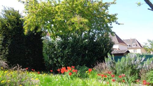 Garten (2).JPG - Doppelhaushälfte mit 103,00 m² in Naumburg (Saale) zum Kaufen