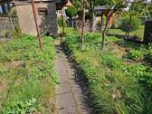 Garten - 