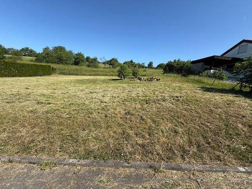 Bild 1 - Großer Bauplatz in Bestlage von Notzingen zu verkaufen