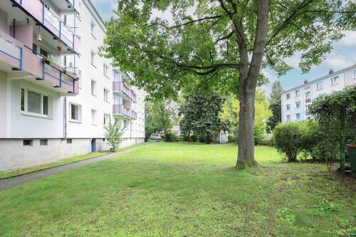 Hinterhof - 