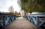 Tegeler Insel - 