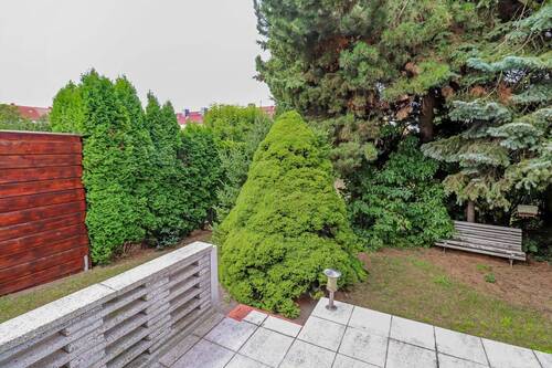 Blick in den Garten - 