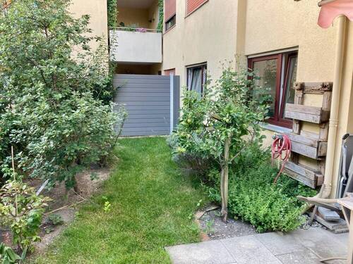 Blick in den Garten - 