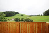 IMG_5652.JPG - 