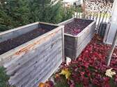 Hochbeete im Garten - 