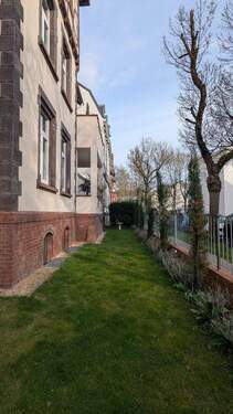 PXL_20250409_155632086.jpg - 