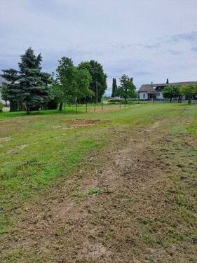 Garten - 