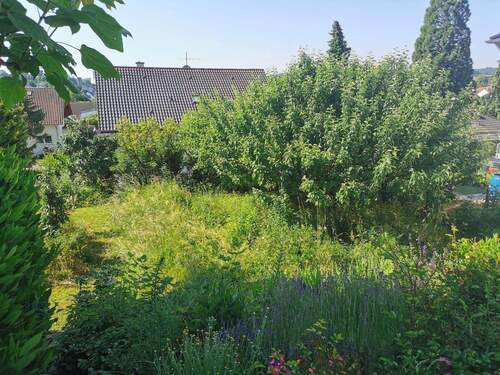 Unterer Teil Sommer - 