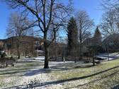 Eisweiher - 