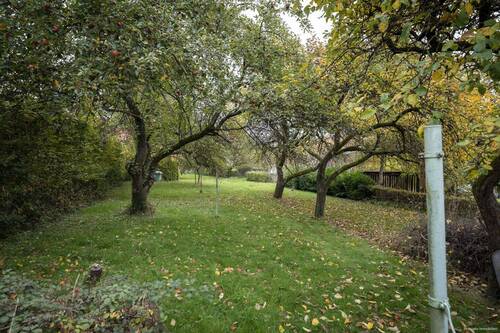 Hinterer Gartenbereich - 