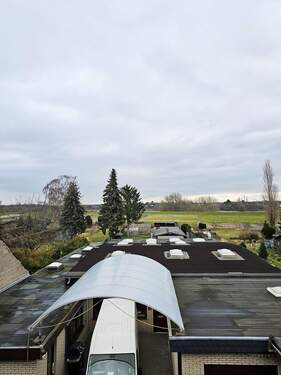 Blick in Richtung Rhein - 