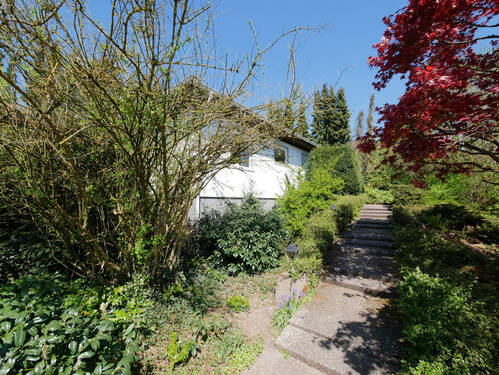 Vorgarten - 5 Zimmer Einfamilienhaus zum Kaufen in Bad Driburg