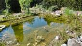 Gartenteich - 
