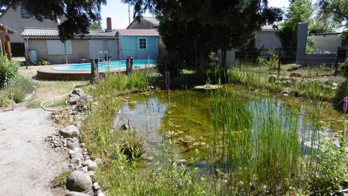 Gartenteich und Pool - 