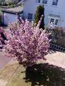Garten 2 - 