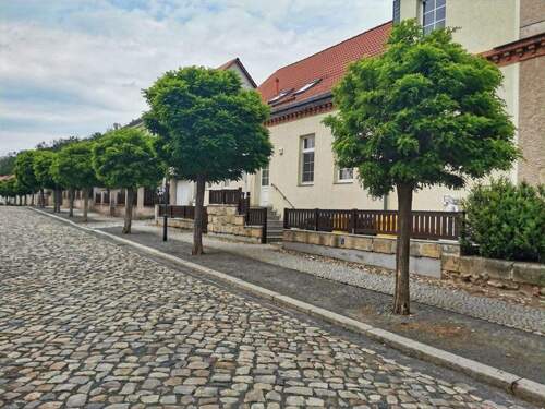 Straßenansicht - 1 Zimmer Mehrfamilienhaus, Wohnhaus zum Kaufen in Quedlinburg