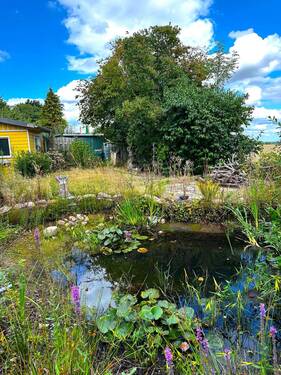 Gartenteich.jpeg - 