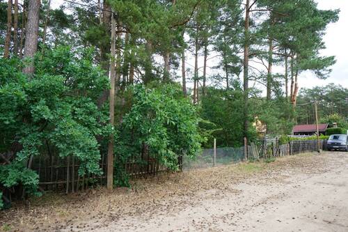 Vor dem Grundstück (4).JPG - Ein Baugrundstück in der Waldgemeinde Borkwalde