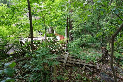 Auf dem hinteren Flurstück (2).JPG - Grundstück in Borkwalde zum Kaufen