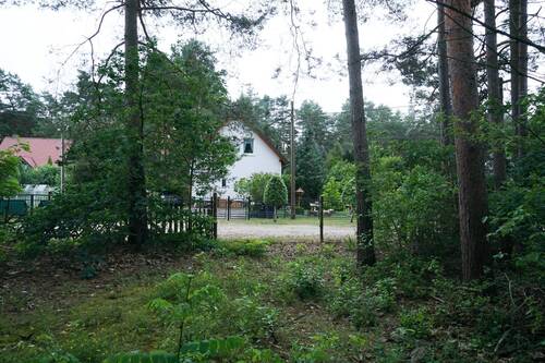 Auf dem vorderen Flurstück (2).JPG - 