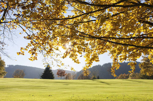 Bild 1 - Secret Sale - Grundstück in Ortsrandlage in Rottach-Egern