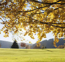 Secret Sale - Grundstück in Ortsrandlage in Rottach-Egern