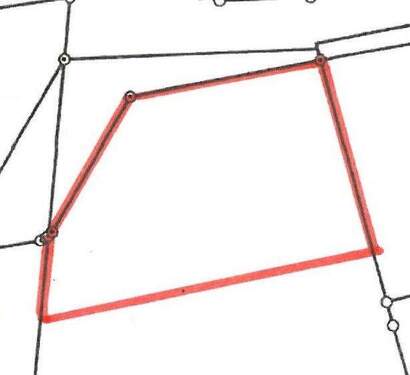 amtlicher Lageplan - 