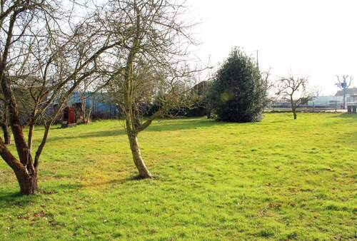 Grundstück - Einfamilienhaus mit 221,00 m² in Born a. Darß zum Kaufen