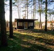 Ein Freizeitgrundstück im Wald bei Beelitz