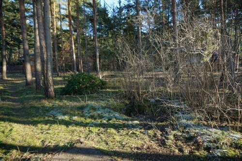 Grundstück vorne (7).JPG - 