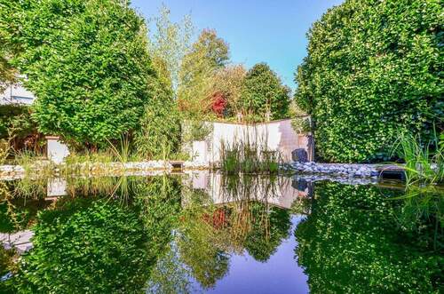 Bild 19 - 