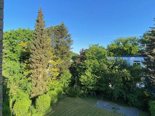 Blick in Garten - 