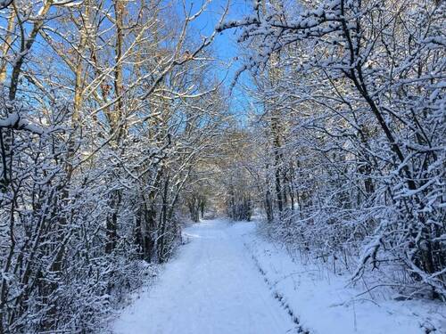 Winterimpressionen: Zufahrtsweg oberhalb des Grundstücks - 