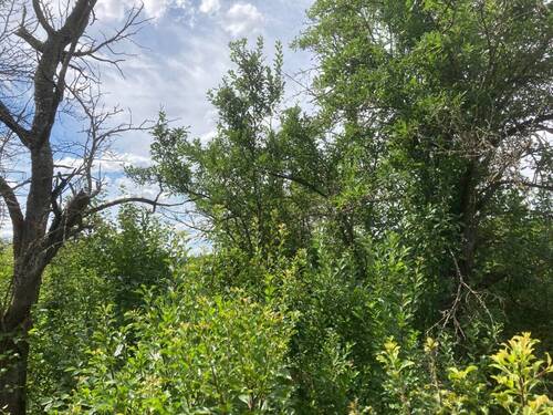 Grundstück - Grundstück in Würzburg