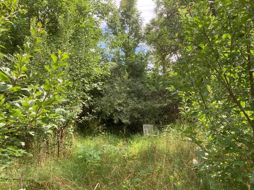 Grundstück - Grundstück in Würzburg zum Kaufen