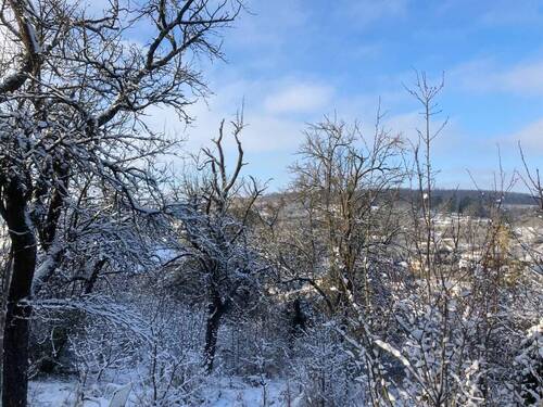 Winterimpressionen: Grundstück und Ausblick - 