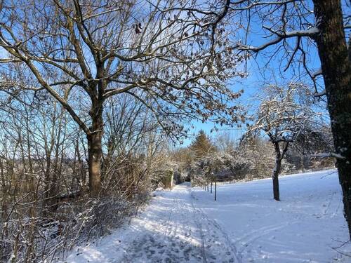 Winterimpressionen: Zufahrtsweg oberhalb des Grundstücks - 