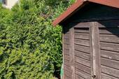 Gartenhaus - 