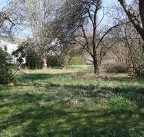 Ebenes, erhöhtes Baugrundstück in zentraler Lage von Bad Laasphe