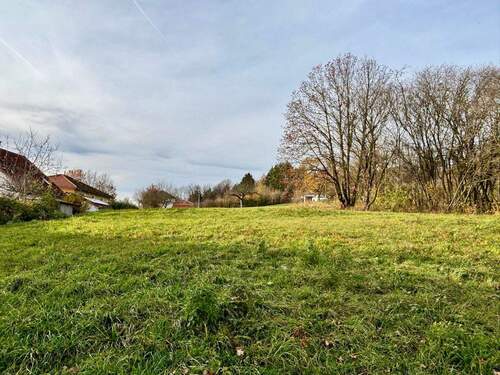 Hier ist viel Platz! - 