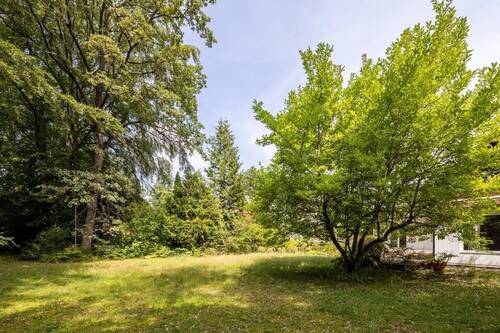 Grundstück - GRÜN I Herrliches Grundstück mit Altbestand