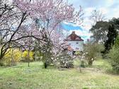 4 Etagen und großer Garten - 
