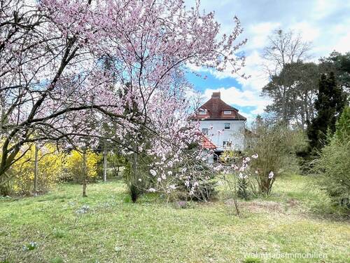4 Etagen und großer Garten - 